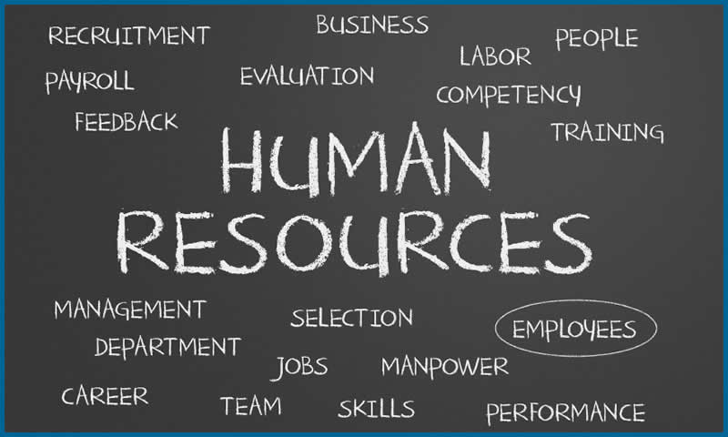 Human Resource Professionals