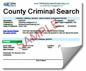 County Criminal Search Sample