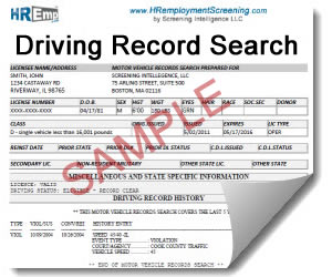 Driving Record Search And Dmv Check For Employment